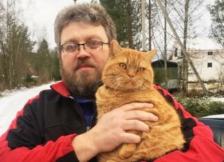 Odraslog čovjeka ubila njegova mačka: Policija istražuje kako je to moguće