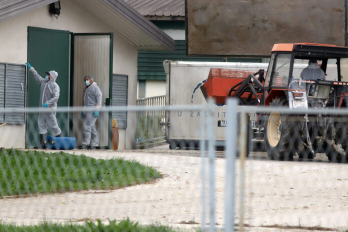 Koprivnica, 19.11.2020 - Na farmi purana u mjestu Delovi doslo je do navodne zaraze pticjom gripom