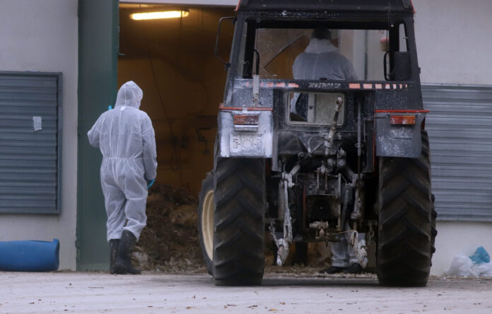 Koprivnica, 19.11.2020 - Na farmi purana u mjestu Delovi doslo je do navodne zaraze pticjom gripom