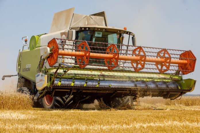 Vukovar, 10.07.2023 - Zetva psenice na poljima Vupika u blizini Vukovara