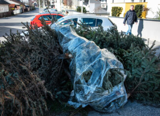Grad objavio kad počinje skupljanje božićnih drvaca: Evo što svi trebaju učiniti
