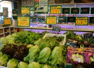 Nakon ovog ćete kupovati samo zamrznuti špinat: Nevjerojatno je što se dogodi dan nakon branja