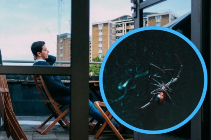 Screenshot 2025-03-11 091541