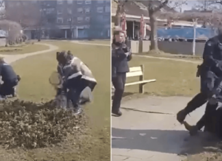 Policija se oglasila o brutalnosti u Velikoj Gorici: Otkriveno kako su ženi slomljena rebra