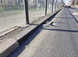 Sudar na Maksimiru: Pijan autom smrskao dio tramvajske stanice