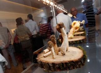 Neizvjesna sudbina zagrebačkog muzeja: Jedinstvena zbirka mogla bi biti uništena