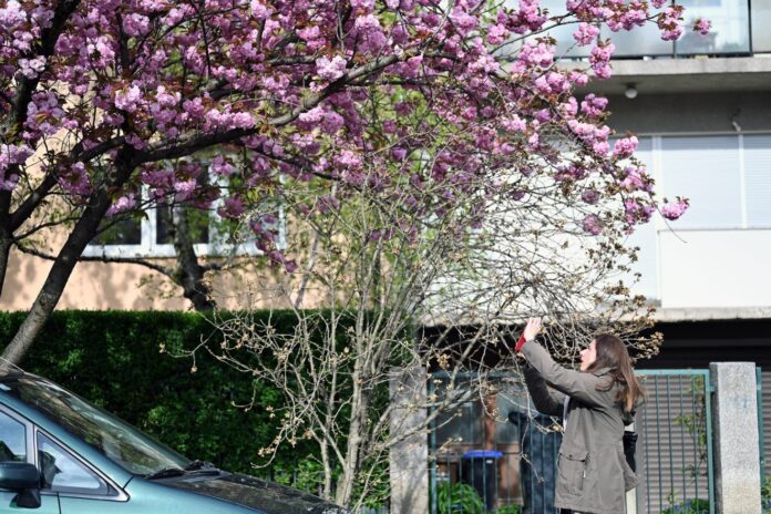 Dizajn bez naslova-36