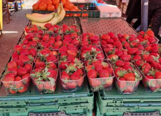 Čuvajte se domaćih jagoda na tržnici, sve smo slikali: Jako pazite na ovaj detalj