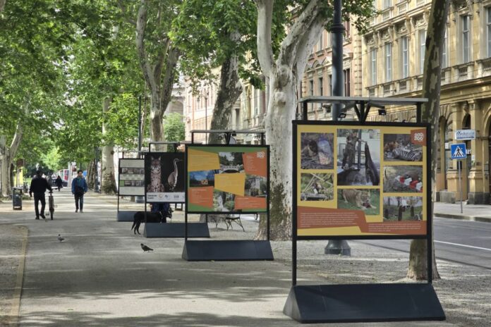 izložba zrinjevac zoološki vrt