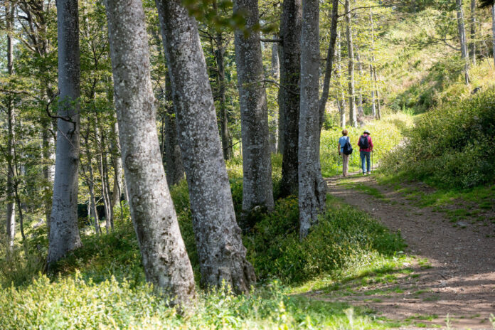 Zagreb, 17.08.2024 -Uzivanje na svjezem sljemenskom zraku u subotnje jutro