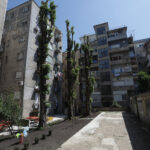 Zagrepčanin se zabrinuo zbog neobične životinje u stanu: ‘Skrivaju se u pukotinama’