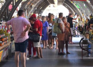 Brutalna zarada od biljke koju zovu ‘novo zlato’: Sve ju više sade po Hrvatskoj