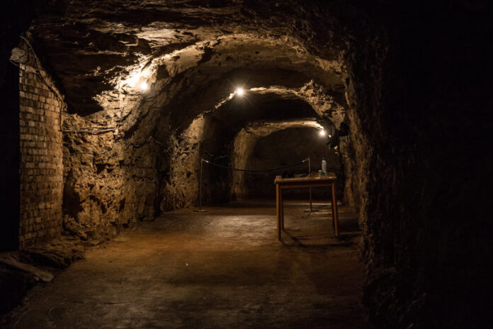 V. Brijun, 06.09.2015 - Ovogodisnje Sismisarije privukle su veliki broj djece i roditelja