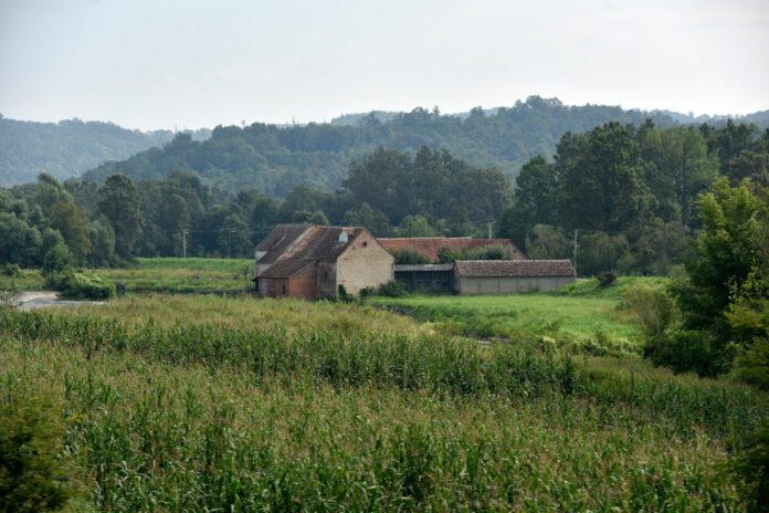 Slavonija, 09.08.2023 - Panorame slavonske ravnice izmedju Okucana i Vinkovaca