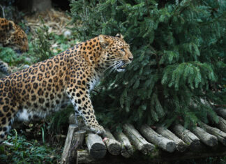 Zoološki izdao ozbiljno upozorenje: Kad bolje pogledate fotografiju, vidjet ćete zašto je jeziva