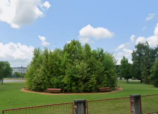 U Zaprešiću će osvanuti poseban voćnjak: Učenici će posaditi prvu Crošnjicu kraj osnovne škole