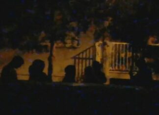 Objavljene neviđene scene divljanja u Dubravi, roditelji delikvenata šokirali: ‘Učim sina ubij i baci niz Savu’