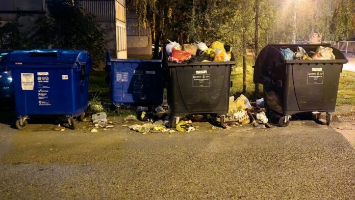 IMG_20251013_200618 (1)