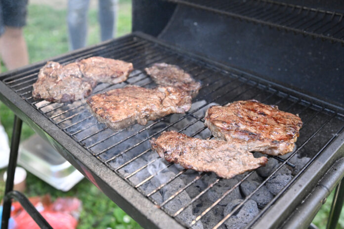 Zagreb, 01.05.2025 - Gradjani na pikniku i rostiljanju na Bundeku povodom Medjunarodnog praznika rada