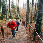 Zagrepčani otkrili najlakše staze za uspon na Sljeme: ‘Nikad nema ni psa tamo’