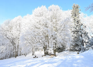 Ovo će razveseliti sve klince: Dugo Selo otvara sanjkalište i donosi zimsku čaroliju