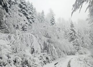 Pogledajte snimke snježne idile na Sljemenu: Na vrhu već ima roditelja s djecom