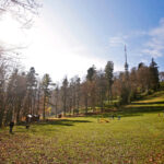 Zagrepčanin snimio što se događa na Medvednici: ‘Razočarao me kad sam to vidio’