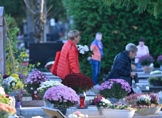 Zagrepčanku na Sisvete šokiralo stanje na Mirogoju, oglasili se iz Grada: ‘S obzirom na karakter’