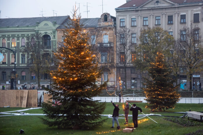 Izbor CROPIX 2022 Studeni