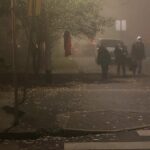 Žena objavila ovu sliku iz ulice u Novom Zagrebu: ‘Dvaput trljam oči i gledam što je to na drvetu’