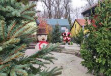 Zoološki vrt sprema iznenađenja za najmlađe: Stiže Grad svetog Nikole