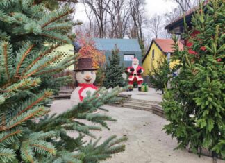 Zoološki vrtu sprema iznenađenja za najmlađe: Stiže Grad svetog Nikole