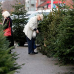 Potraga za božićnim drvcem u Zagrebu pretvorila se u noćnu moru: ‘Mnogi su me popljuvali’