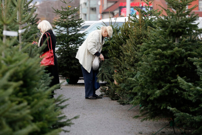 Zagreb, 23.12.2019 - Gradjani kupuju bozicna drvca na tresnjevackoj trznici