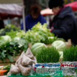 Otkrili ‘caku’ i božićna pšenica im baš uvijek uspije: ‘Čak bude i prevelika’