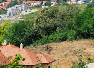 U Šestinama pored ceste Zagrepčani snimili što je izašlo iz šume: ‘Nemojte ih prijavljivati’