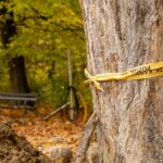 Mladi izgradili, Maksimir ogradio i zabranio: ‘Još me pitao znam li tko je to napravio’