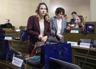 Burno na Skupštini: Selak Raspudić optužila Tomaševića da špijunira građane