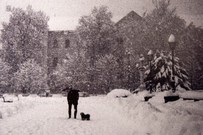 Zagreb, 18.02.2025 - Izlozba fotografija Vladimire Spindler u galeriji Modulor