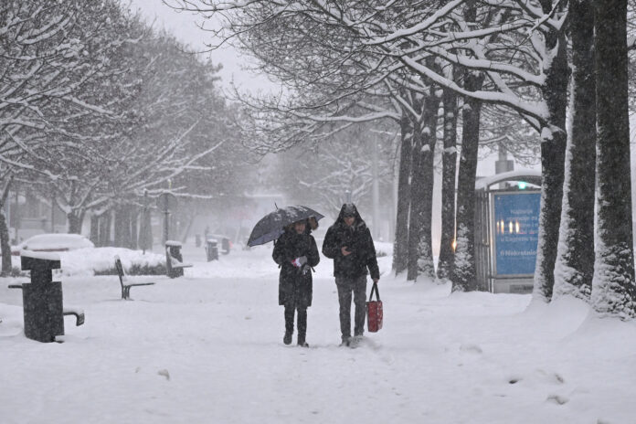 Zagreb, 06.01.2026 - Snijeg u Zagrebu pada od jucer, a tijekom noci i dana zabijelio je grad i okolna podrucja