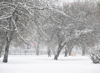 Zagrepčanka snimila biblijsku scenu kod Rebra: ‘Na Sveta tri kralja’